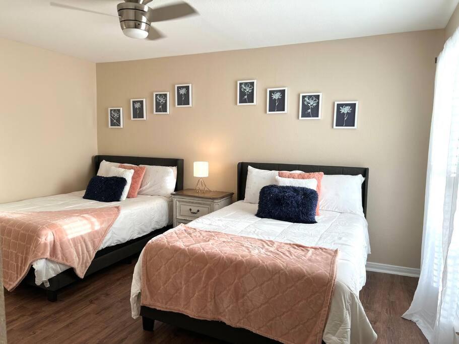 Lovely 2 Bedroom/2 Bath Houston, Heights/Galleria Exteriör bild